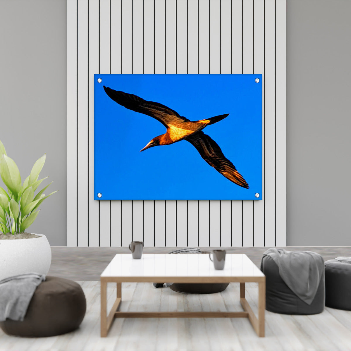 Landscape Acrylic Prints - Stand Offs - Acrylic Bird Landscape print - Exclusive!