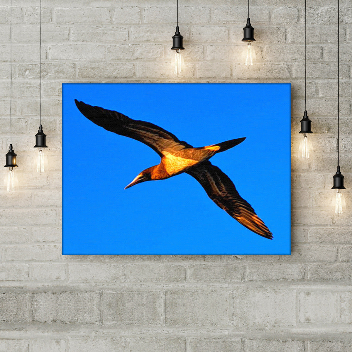 Landscape Canvas Print - with Hooks Bird Flying Landscape Print with Hooks